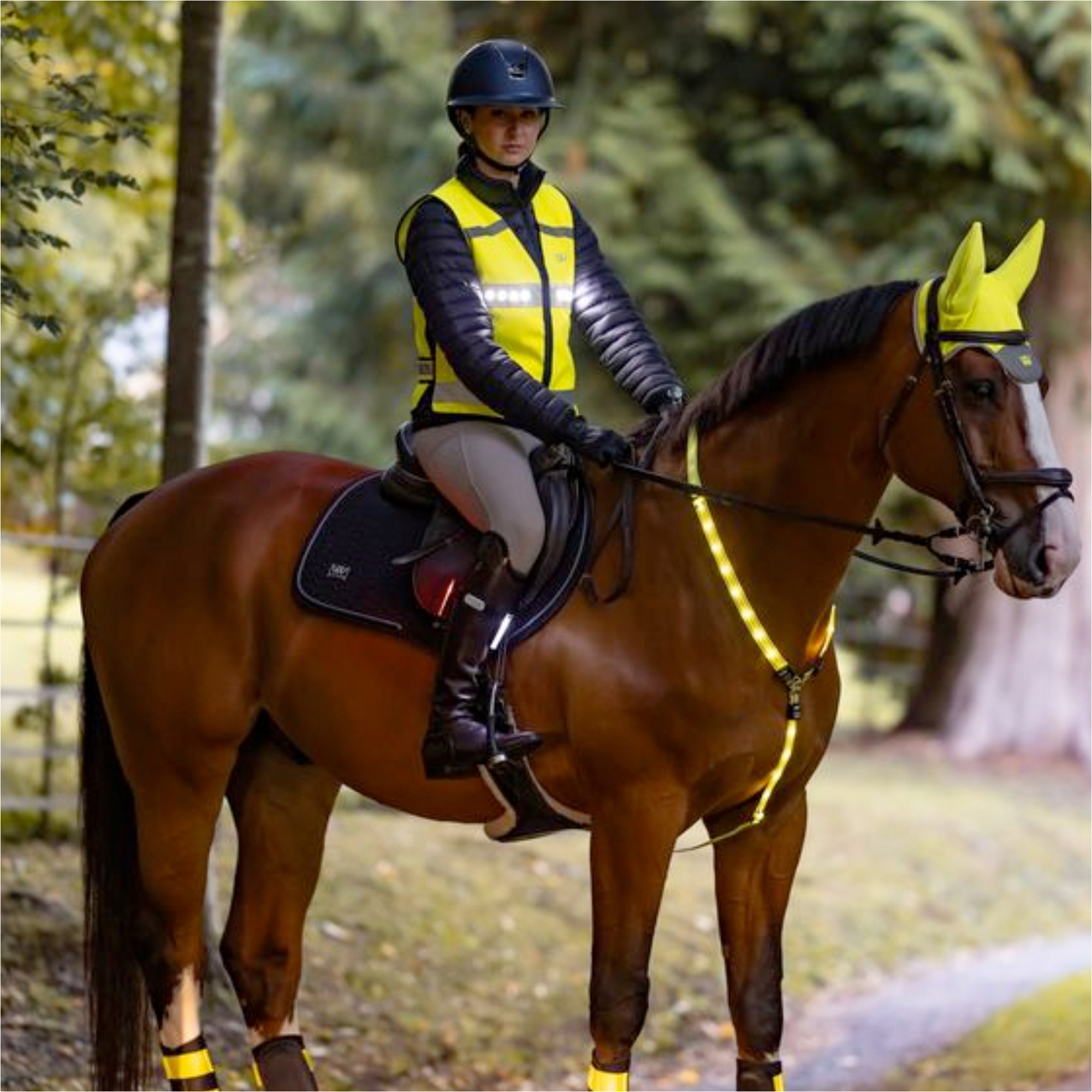 2025 Woof Wear LED Hi Vis Riding Vest WA0036-VZYE - Hi Viz